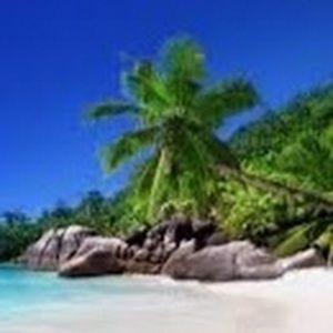 Meet your Posher, Gail