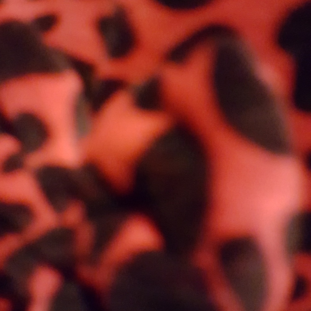 Meet your Posher, Susan