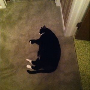 Meet your Posher, Kourtney