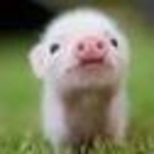 Meet your Posher, Krista