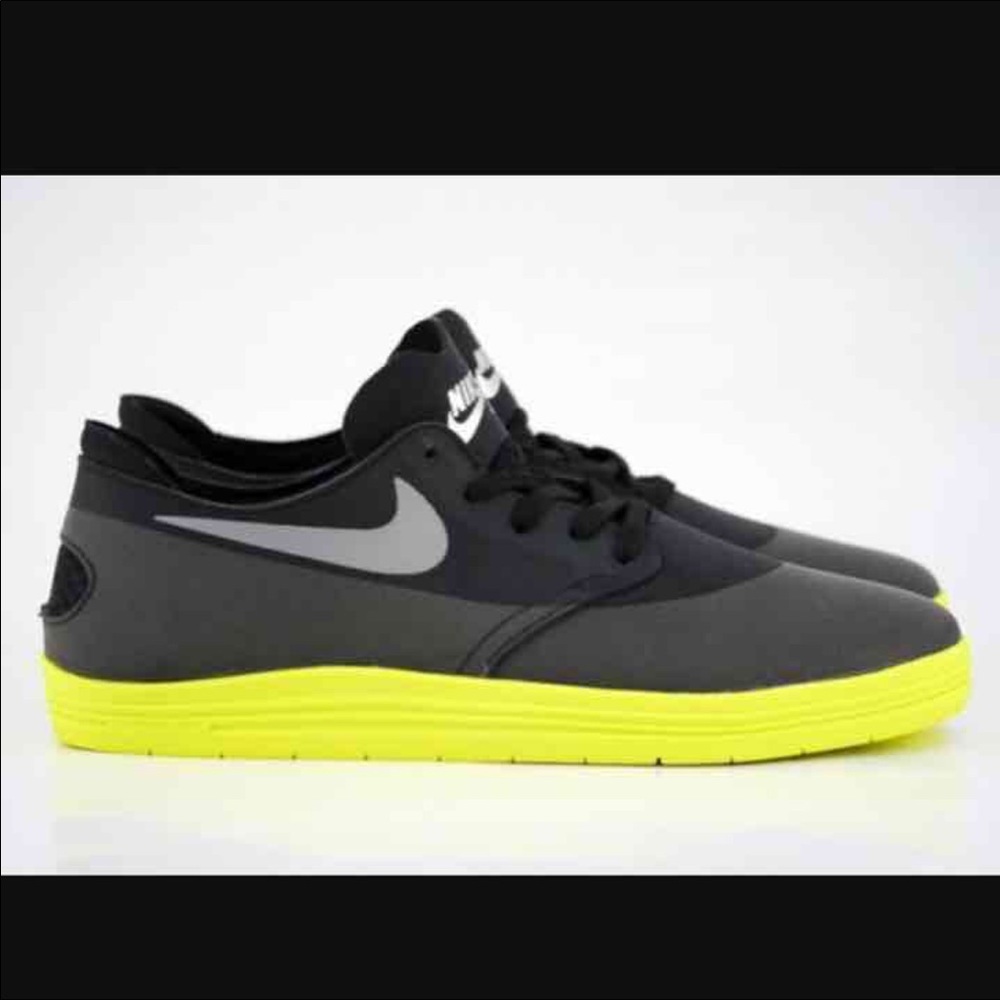 Men's Nike SB Lunar shoes