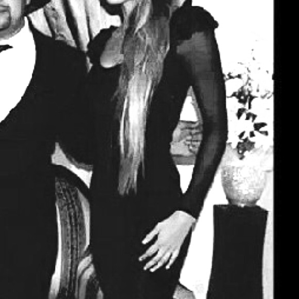 Bebe Dress