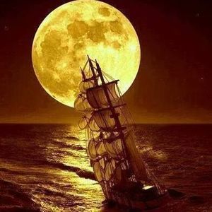 Meet your Posher, Misty