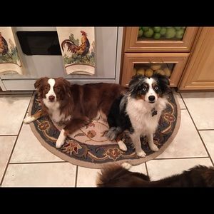 Meet your Posher, Juli