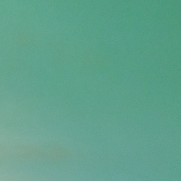 Meet your Posher, Haley - Picture 1 of 1