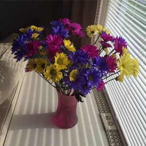 Meet your Posher, Nita