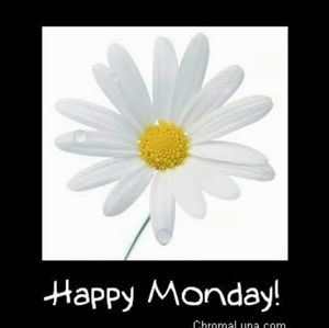 Meet your Posher, Bridgett