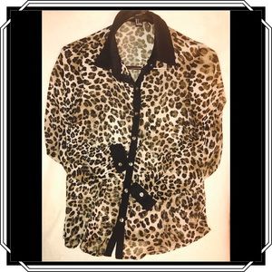 Leopard Chiffon Blouse