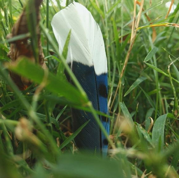 Meet your Posher, Virginia - Picture 6 of 7