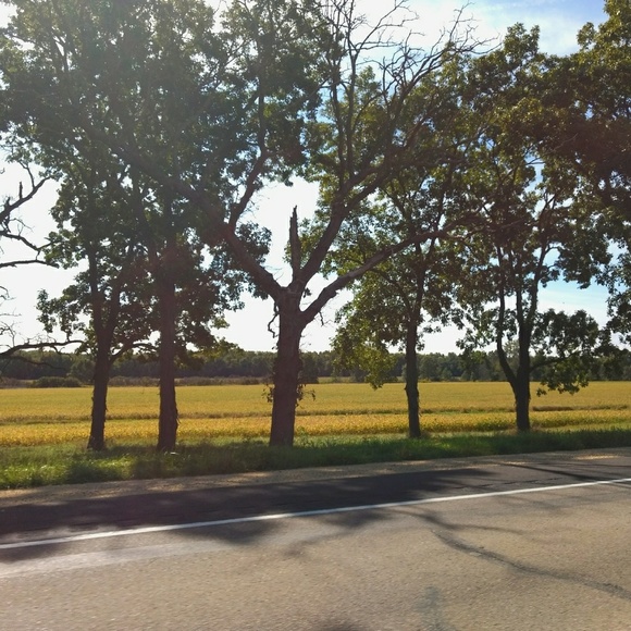 Meet your Posher, Virginia - Picture 4 of 7