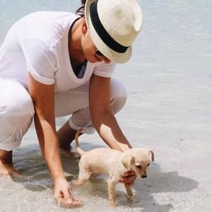 Meet your Posher, Katy