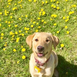 Meet your Posher, Kayla