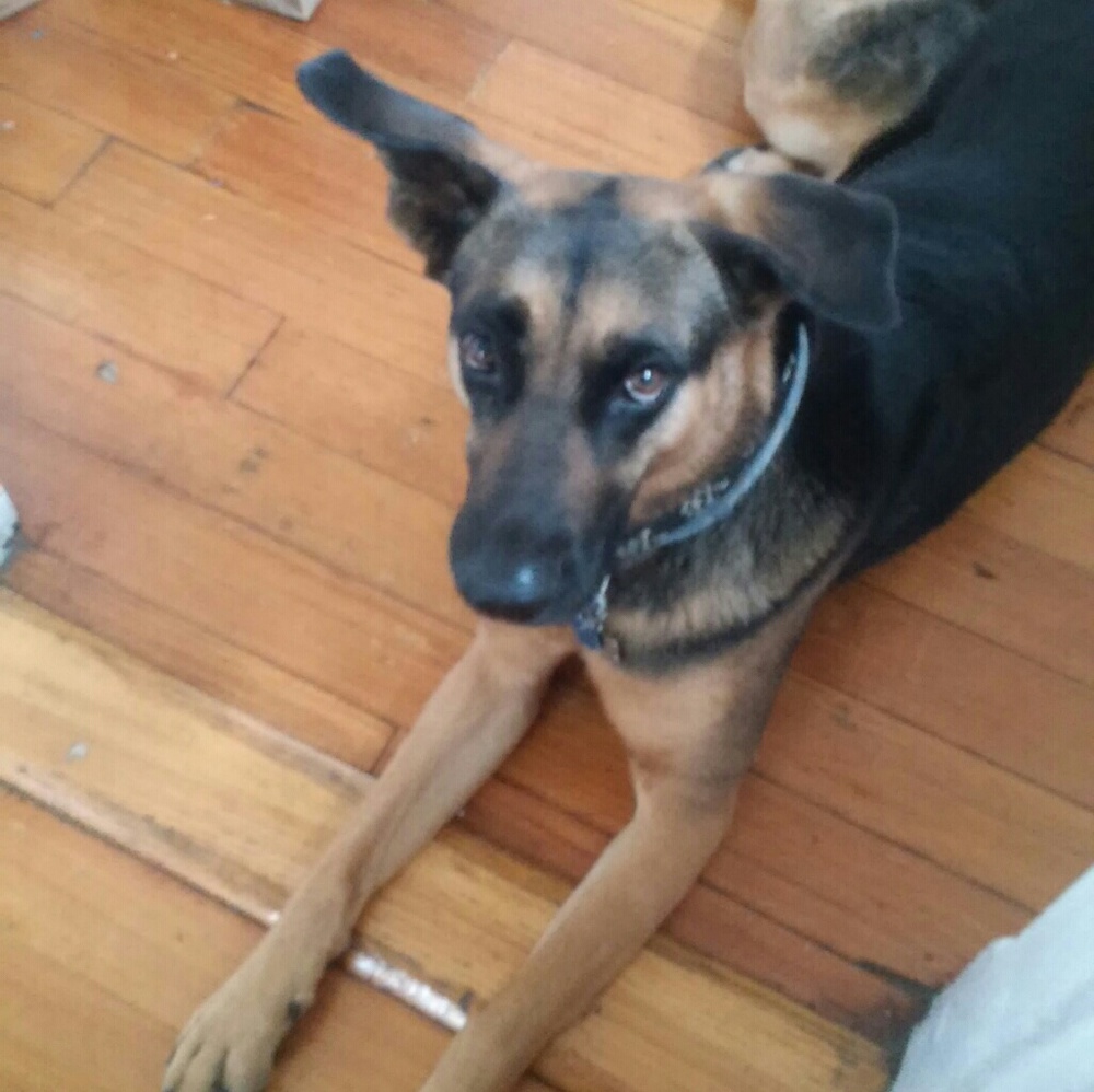 Meet your Posher, Vincenzo