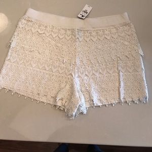 BNWT! White, lace shorts!