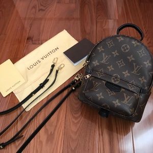Palm Springs Mini Louis Vuitton Backpack Bag