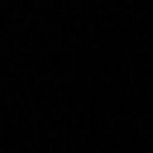 Meet your Posher, Angelina