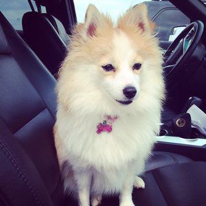 Meet your Posher, Maria