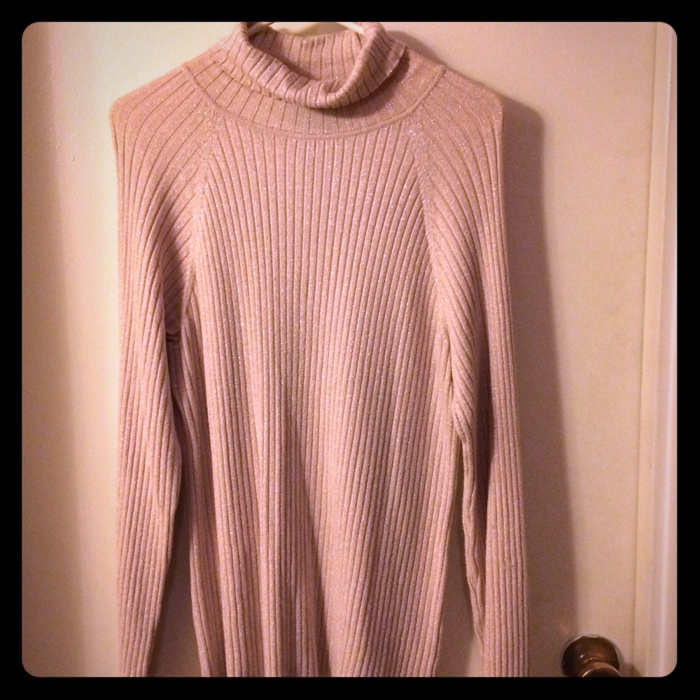 Silver pink lovely sweater with turtle neck
