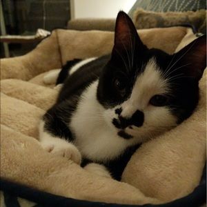 Meet your Posher, Brittany