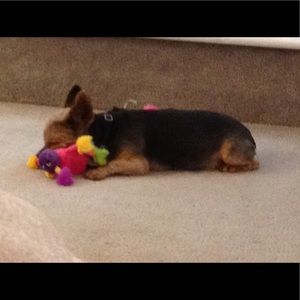 Meet your Posher, Cheryl