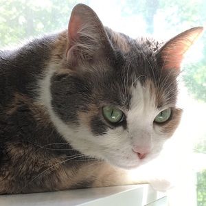 Meet your Posher, Courtney