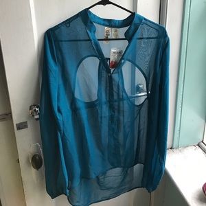 Sheer, blue button down blouse
