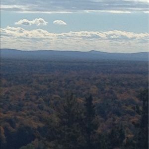 Meet your Posher, Maryanne