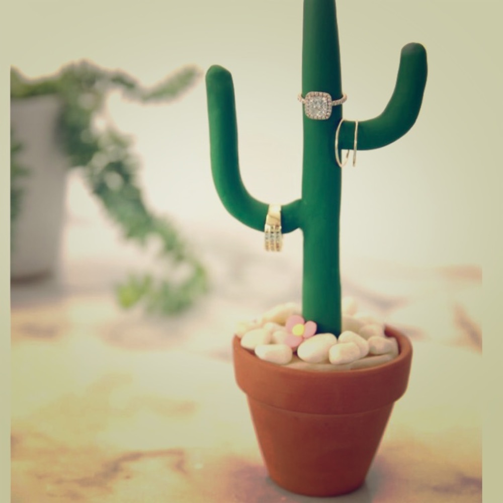 Cactus jewelry holders