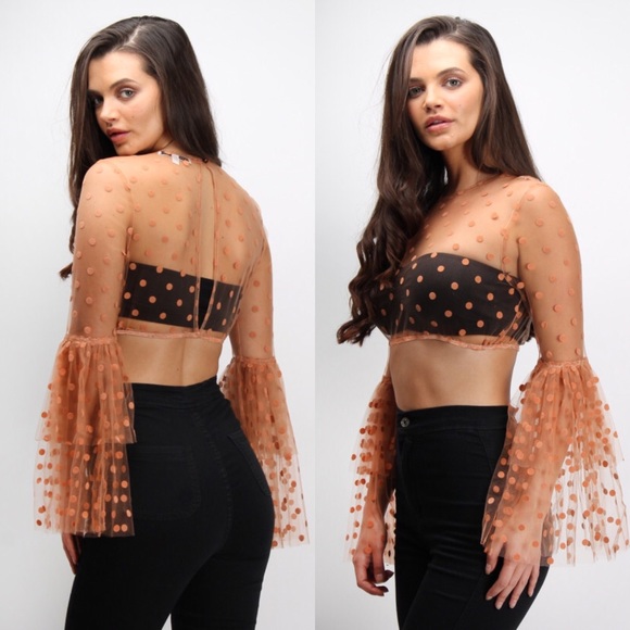 New Rare London Rust  Mesh Bell Sleeve Crop Top - Picture 2 of 6