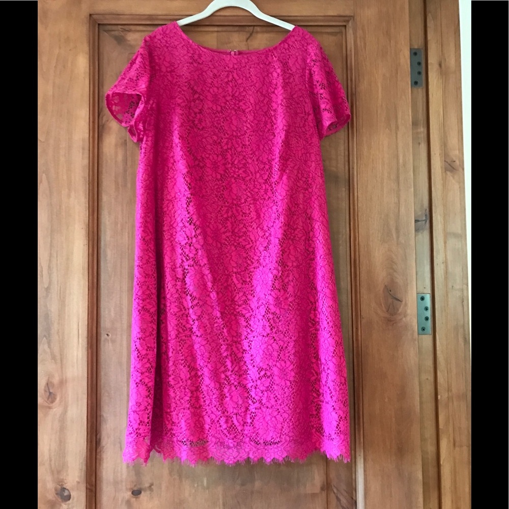 Adrianna Papell Pink Lace Dress (sz. 16W)