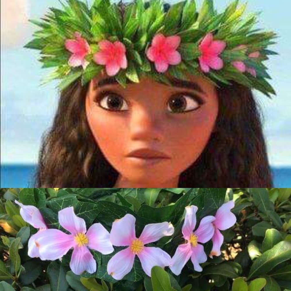 Moana Head Piece! New flowers like not exact.