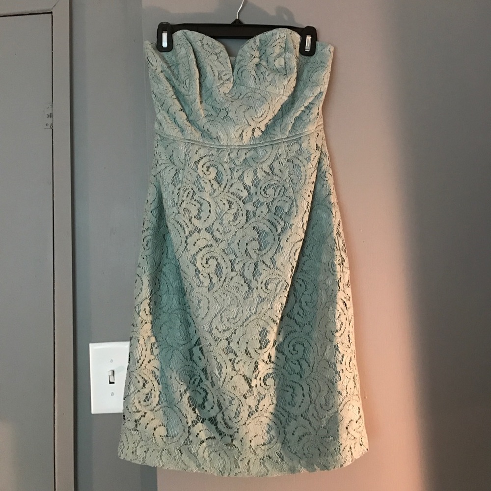 J.Crew Cathleen Strapless Leavers Lace Dress