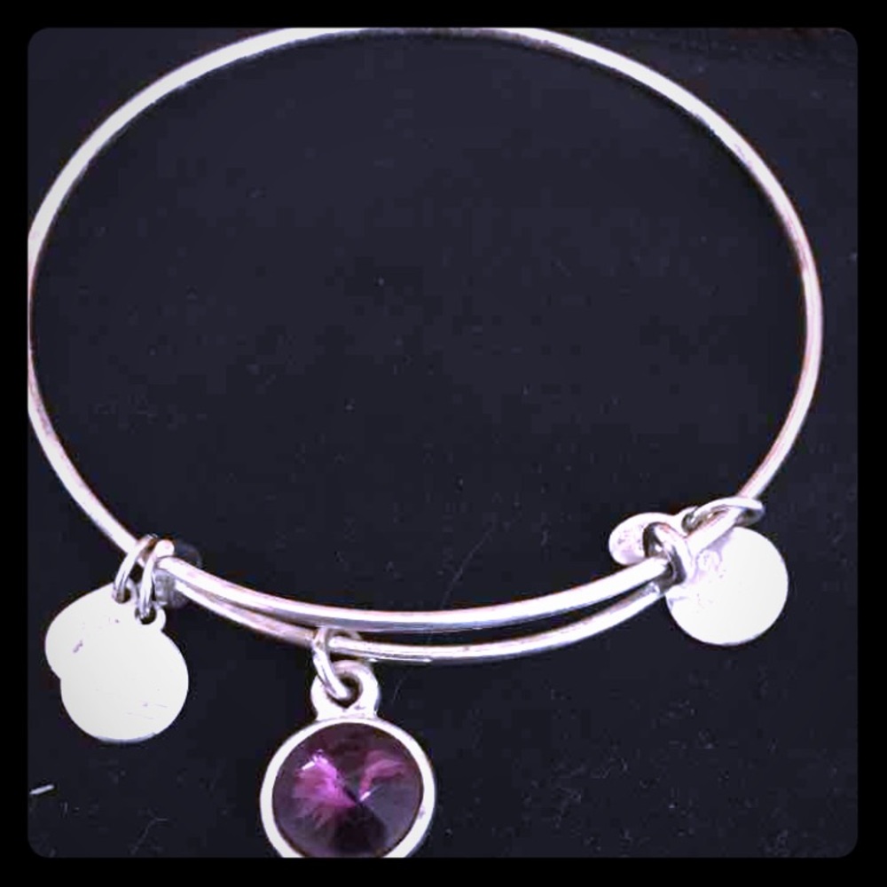 Alex and Ani February birthstone bracelet