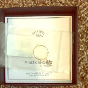 NWT Alex and Ani Star of David ring