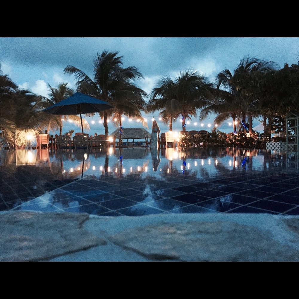 Meet your Posher, Brie