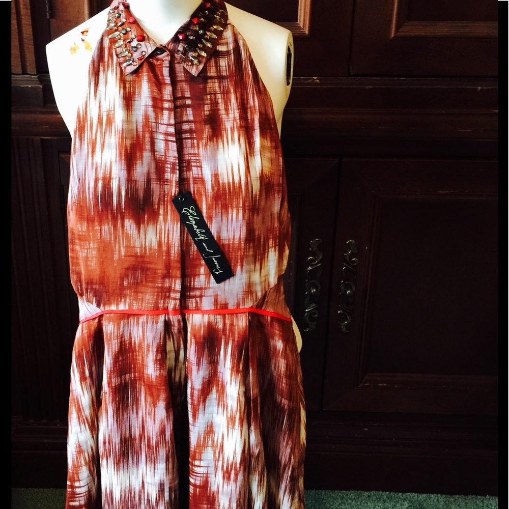 Elizabeth and James Dress with Ornate Collar