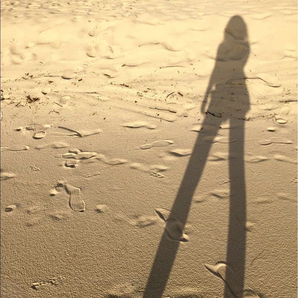 Meet your Posher, Jing