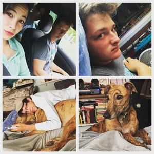 Meet your Posher, Jake