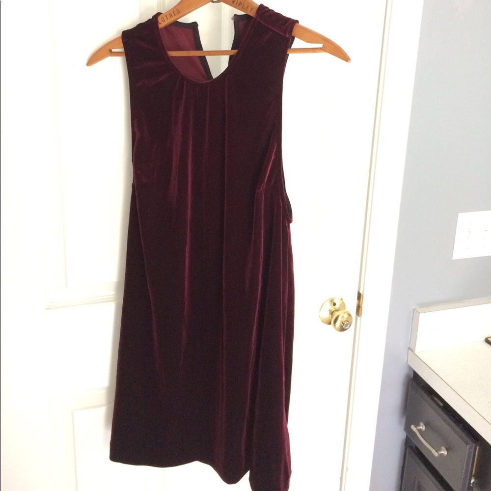 American Apparel Velvet Dakota Dress