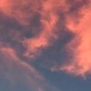 Meet your Posher, Olive