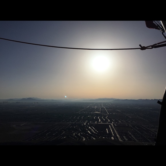 Meet your Posher, Ivy - Picture 1 of 1