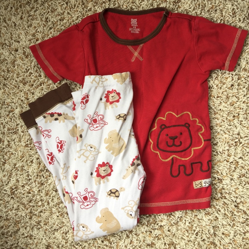 Boys 5T Zoo Animal Pajamas