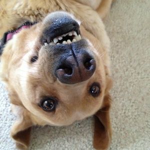 Meet your Posher, Crystal