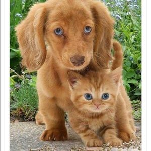 Meet your Posher, Becky