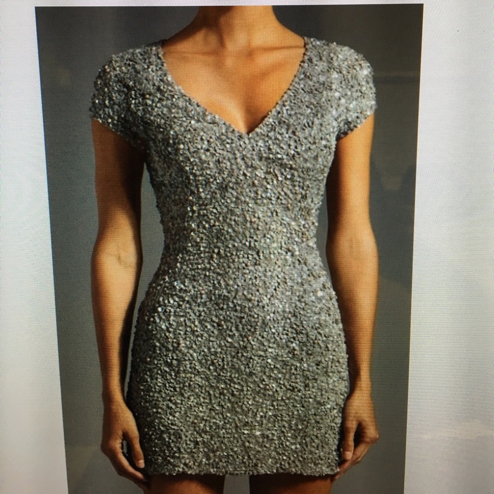 Parker haze dress - brand new