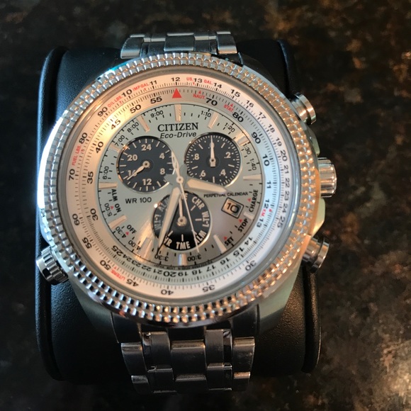 citizen eco drive panda