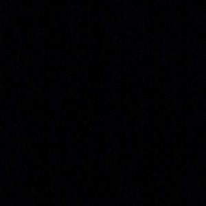 Meet your Posher, Tayler