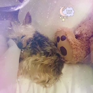 Meet your Posher, Connie