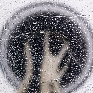 Meet your Posher, Aubrey