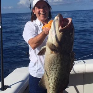 Meet your Posher, Laurie